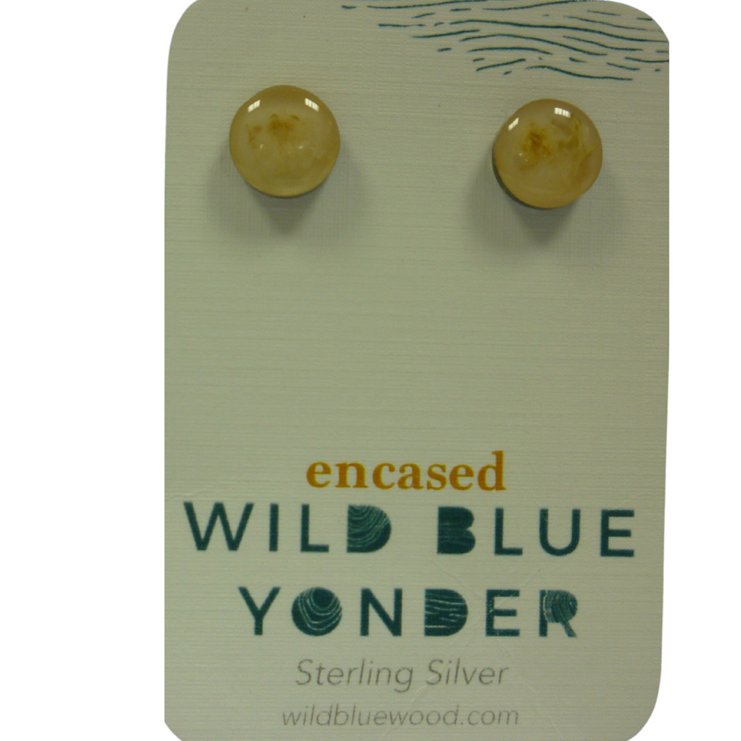 Wild Blue Yonder Earrings