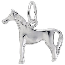 Load image into Gallery viewer, Rembrandt Charms - Animals, Pets &amp; Insect Charms - Nasselquist Jewellers

