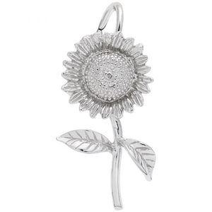 Special Occasion  Love / Wedding Charm Collection